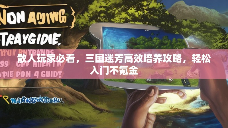 散人玩家必看，三国迷芳高效培养攻略，轻松入门不氪金